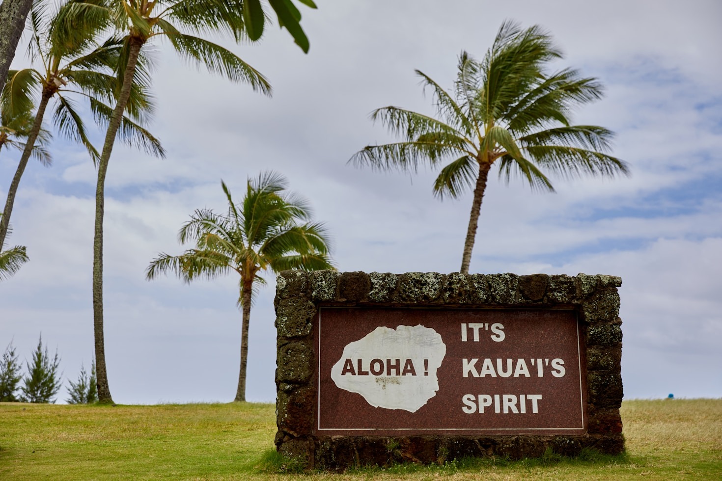 The Role of Context in Hawaiian Translations